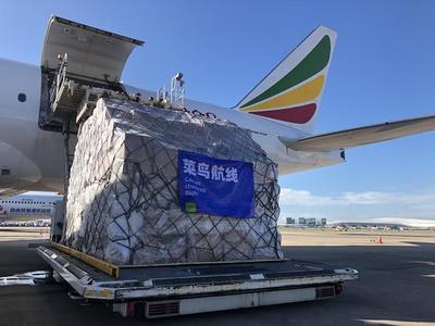菜鸟国际快递进阶史:躬身入山林