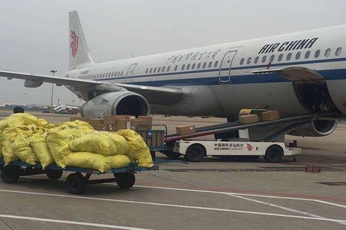 池州dhl国际快递 池州dhl快递全球送达