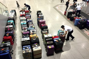 海外购物与看客视角下的国际快递体验