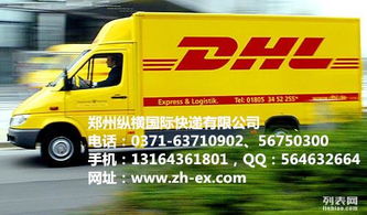 郑州金水区纵横国际快递 免费上门取件，便捷国际邮寄服务